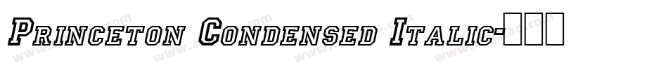 Princeton Condensed Italic字体转换